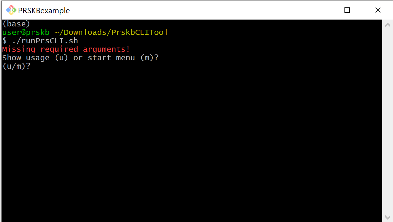 CLI tool run without parameters
